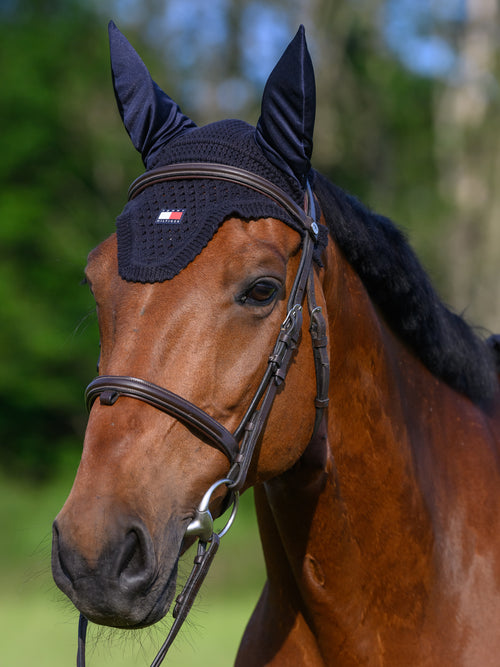 lexington-fliegenhaube-desert-sky