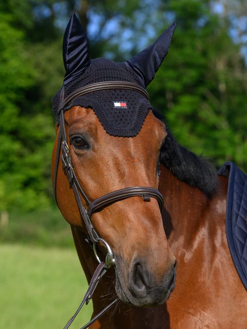 lexington-fliegenhaube-desert-sky