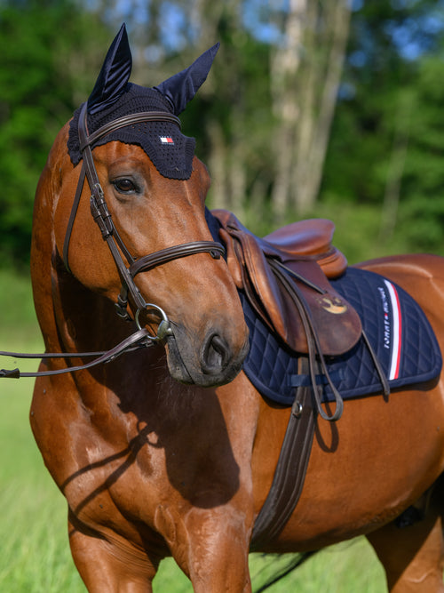 lexington-fliegenhaube-desert-sky