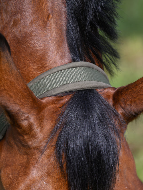 lincoln-halfter-utility-olive