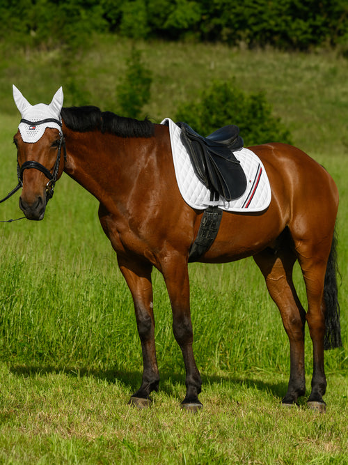 stanford-dressurschabracke-optic-white