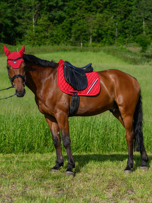 stanford-dressurschabracke-primary-red