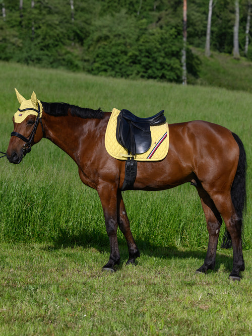 stanford-dressurschabracke-citron-ella