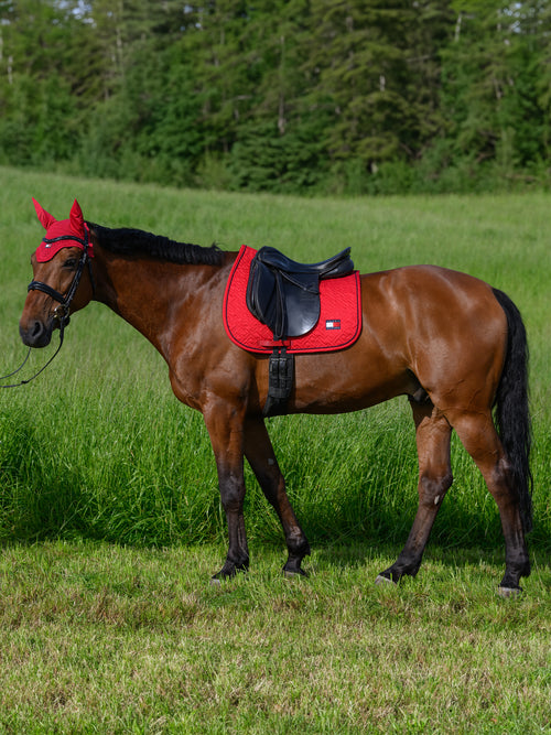 harvard-dressurschrabracke-primary-red